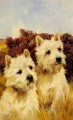 Jacque und Jean Champion Westhighland White Terrier Tier Arthur Wardle dog